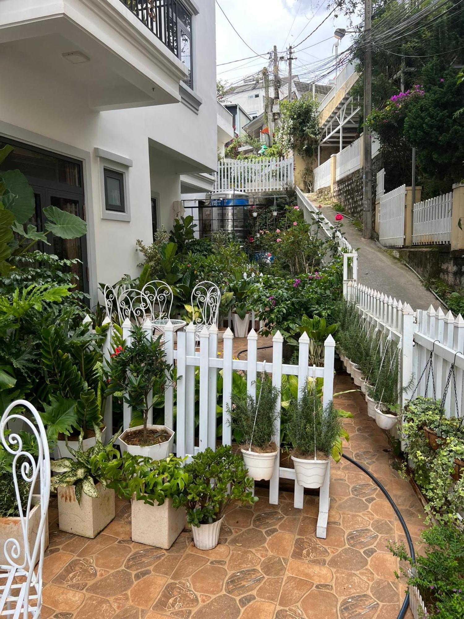 Hera Boutique Hotel 大叻 外观 照片